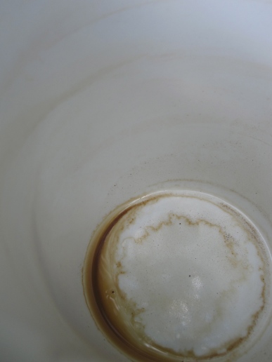 Empty Coffee Cup